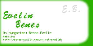 evelin benes business card